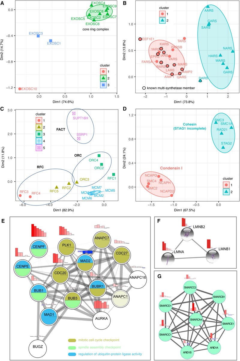mmw_lmw's tweet photo. Understanding #CellCycle Regulation | #ProteomeWide Cellular ThermalShift Assays #CETSA | Clustering Signals of Protein SubUnits | PärNordlund @NTUsg @CellCellPress https://t.co/7bRonkjqVQ https://t.co/lhfXcXuNPO