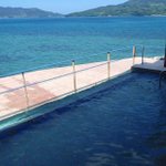 ツイートに含まれる画像