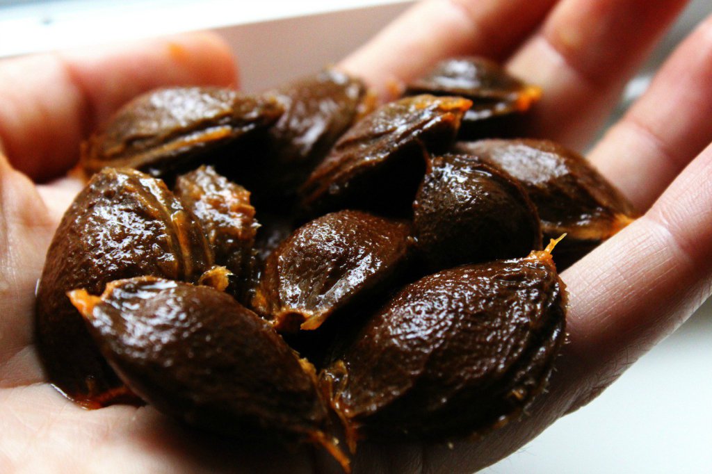 Vitamin B17 Is Prohibited Because Is The Cancer Cure And Destroy Any Malignant Tumor That The Whole World Knows! In These Foods You Will Find This Vitamin! #health #Healthy #healthybeauty #healthylivings dailynews24h.net/vitamin-b17-is…