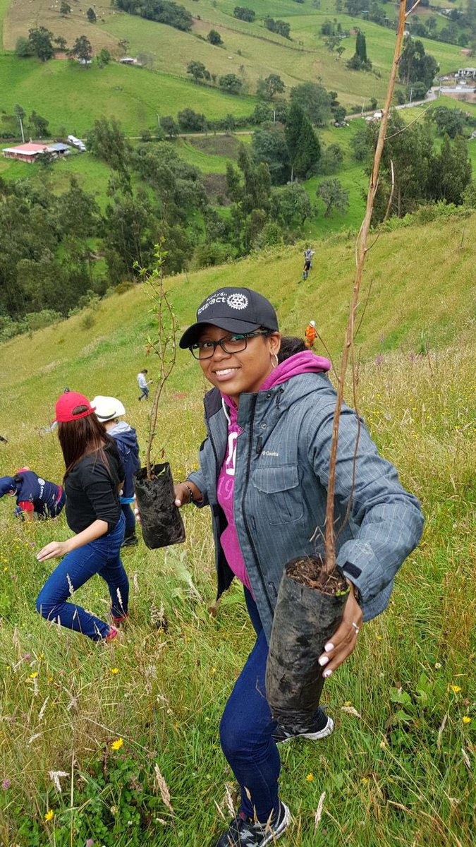 RotaryOrigen's tweet photo. Nuestra socia Shary de San Andrés Islas 🌱se unió a la jornada de siembra del Club Rotaract Centro Histórico. #DomingoDeÁrboles #DomingoDeVida 

Especie: Cedro 🌱🍃 https://t.co/IxRpoqnR9I