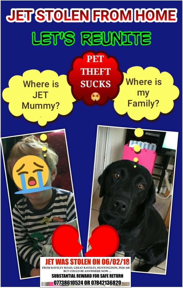 SsangEllie's tweet photo. #NEW #homesecretary @FindStolenJet #findstolenjet 

3 year old little boy crying himself to sleep . His #dog #STOLEN. Such #heartbreak for #allthese families

#STOP #PETTHEFT #NOW
😢💔😢💔😢💔😢💔😢💔😢💔 https://t.co/MTMVQrwvSb