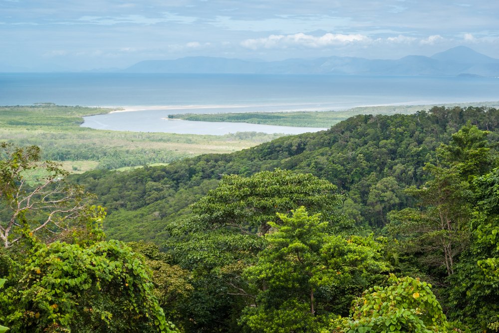 BellevueTrinity's tweet photo. It comes as no surprise that nature lovers are drawn to Cairns, not only because of the lush green rainforests and unique wildlife found here, but due to the proximity with the Great Barrier Reef. 🐊🐠🌴https://t.co/FzL4KKDMBl #BellevueAtTrinityBeach #TrinityBeachAccommodation https://t.co/mh9IYSvn95