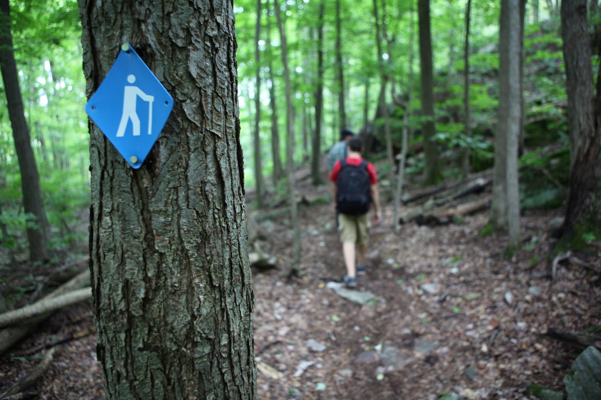Feeling stuck? #Hiking promotes creative thinking: bit.ly/1Wi05h2 #HPHP