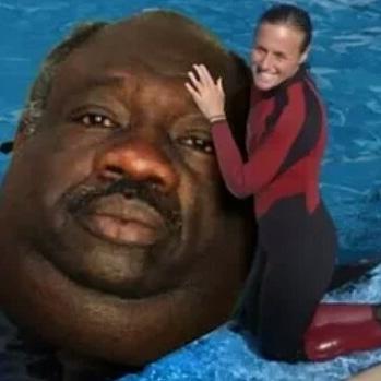 This could be us but u didn't create kirby