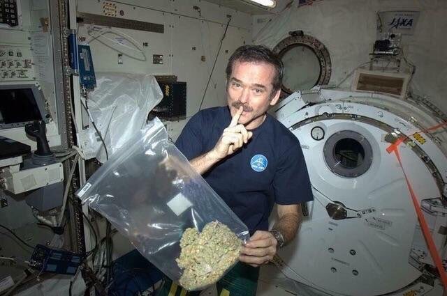 savestacks's tweet photo. Weed to the ISS! How many tokes in a space gram #notthemoon #closeenough https://t.co/7UeklXPmJH