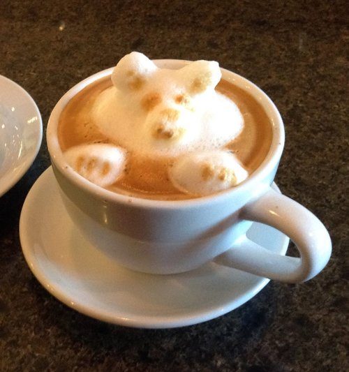 misterbehemoth's tweet photo. Cafe Diem - 1. A pseudo-Latin phrase that translates to "caffeinate the day" or fill your day with coffee without...https://t.co/ehgWw0CMcf https://t.co/ZSXBsiUh5E