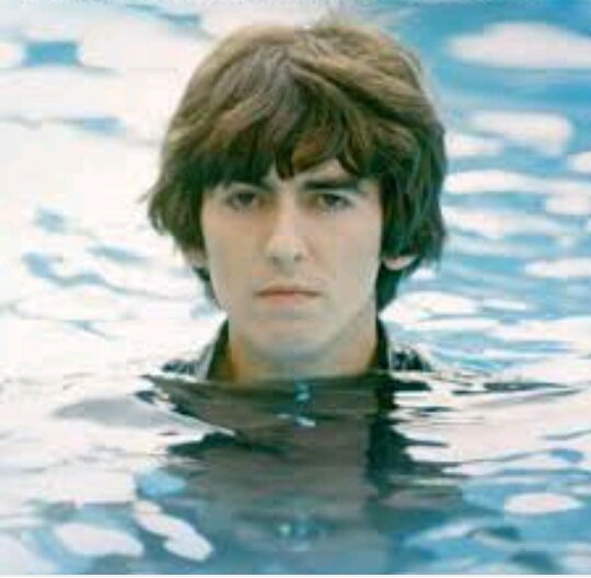 Theo_Roths's tweet photo. @GeorgeHarrison Let's celebrate such a noble soul of George #TheMaterialWorldFoundation 🎉✌💛🚤 https://t.co/wFfEx9khAp