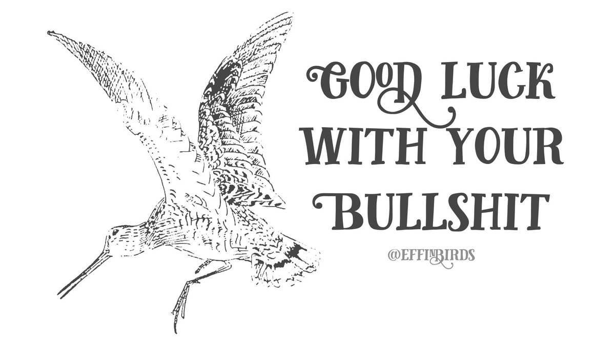 EffinBirds's tweet photo. https://t.co/PRKXwUPHf8