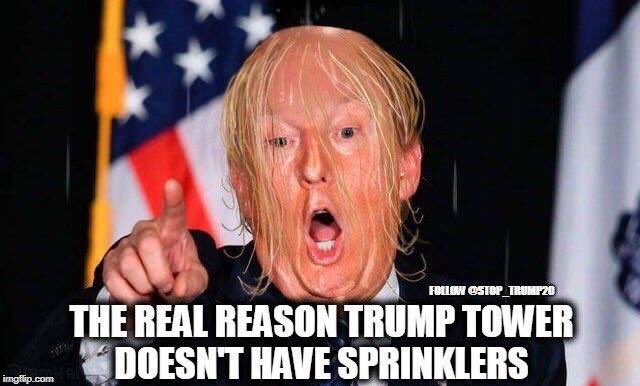 Dba27GiWkAAPxBp.jpg:large