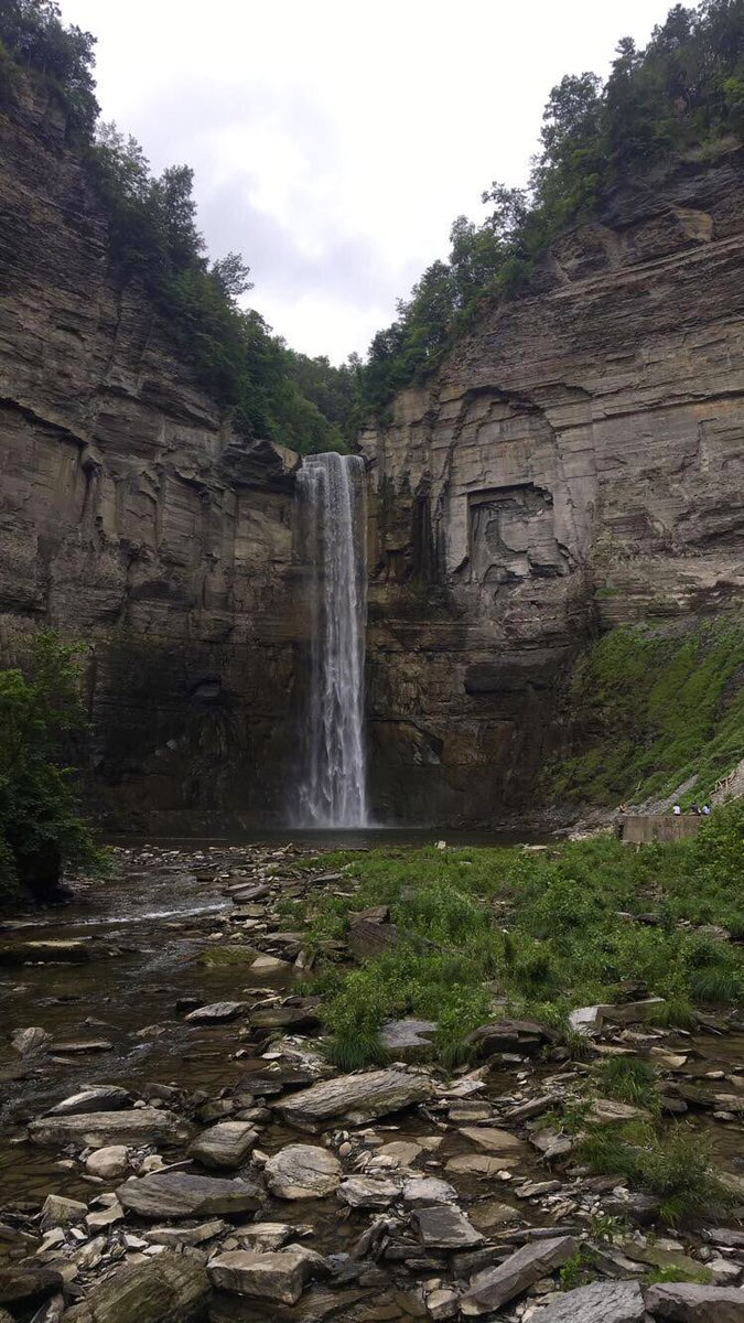 AmberlynJean_'s tweet photo. Missing the 607 today🍃 #HappyEarthDay https://t.co/Q1gHLbdmb9