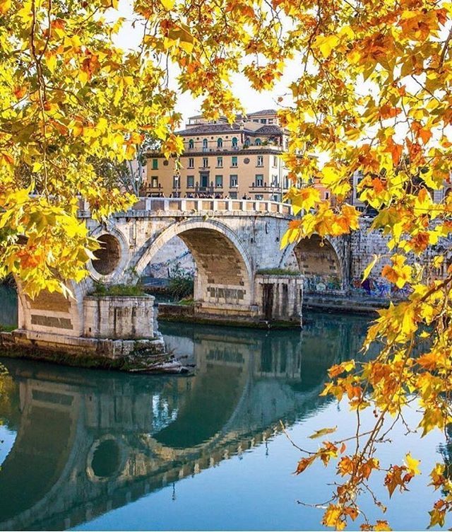 💛 Golden nature
📍 Rome
🙏 Photo by <a href="/disarmonico/">Aura</a>
💨 Shared by @italiamylove_
💖 #viatormundi ift.tt/2qS7dGA