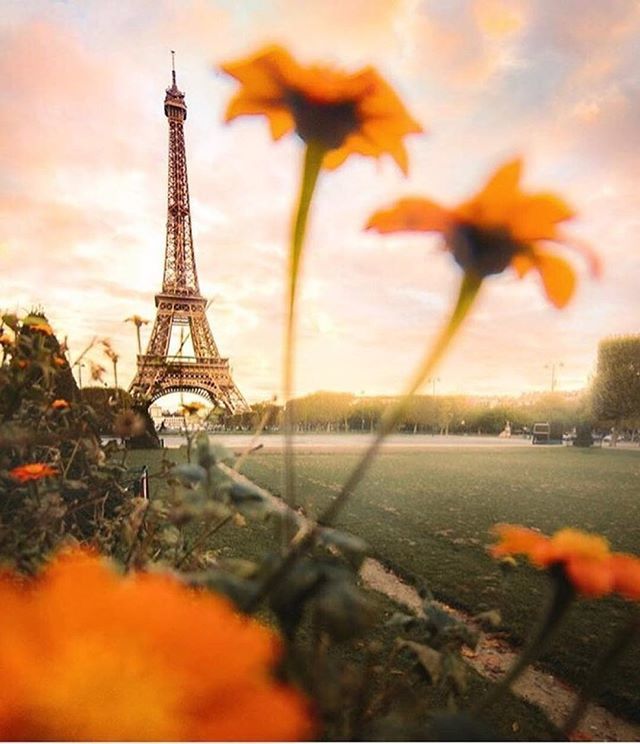🧡 Flower Power
📍 Paris
🙏 Photo by <a href="/emmett_sparling/">Emmett Sparling</a>
💨 Shared by <a href="/parismylove__/">Paris ✨ VIATOR MUNDI</a>
💖 #parismylove #francemylove #viatormundi
👑 You might also like <a href="/francemylove_/">France 🇫🇷 VIATOR MUNDI</a> and <a href="/viatormundi/">yo</a>.io ift.tt/2K7icUL