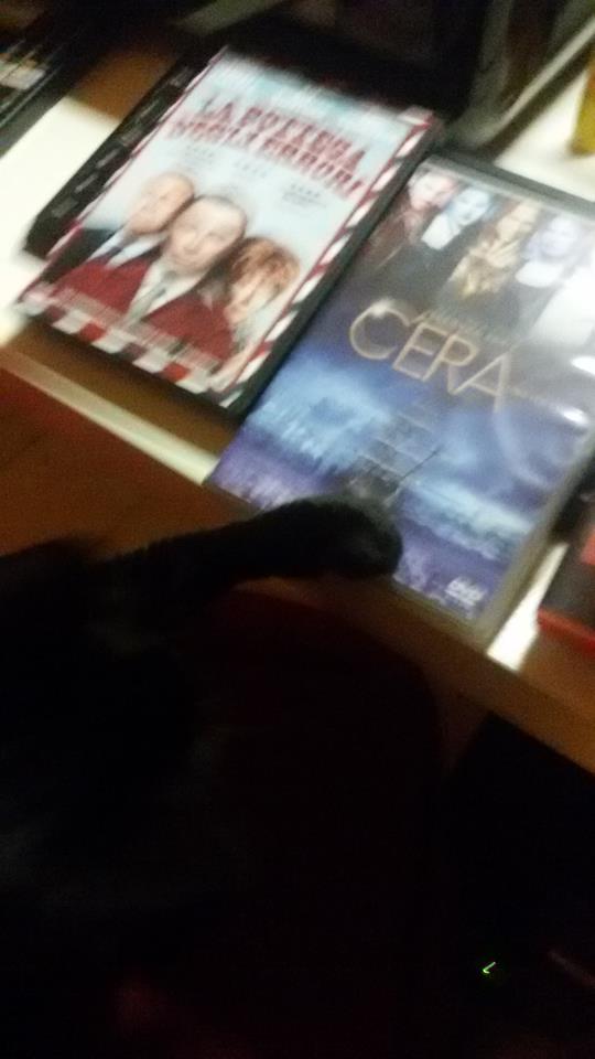 darkwildnight's tweet photo. @robertcarlyle_ It seems that my cat Ginger do not know how to decide between #TLOBT, #OnceUponATime and #T2Trainspotting. But then, between Barney and #Begbie, she choose #Rumple https://t.co/08AOgtAlWJ