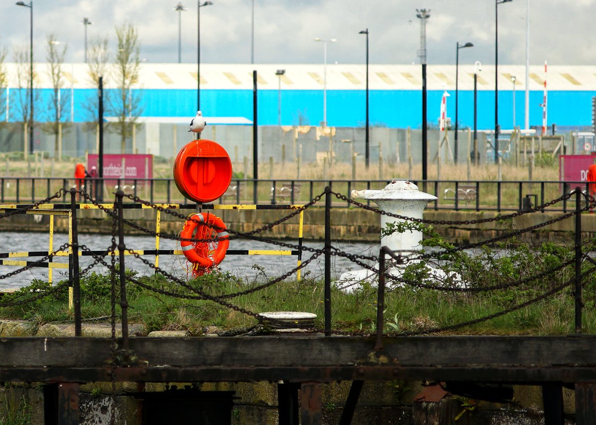 Cardiff Bay this afternoon. #cardiffbay #photography #cardiffphotography #cardiffphotographer