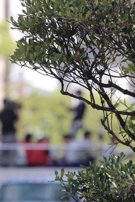 羽生選手への思いは伝わる！？写真が話題