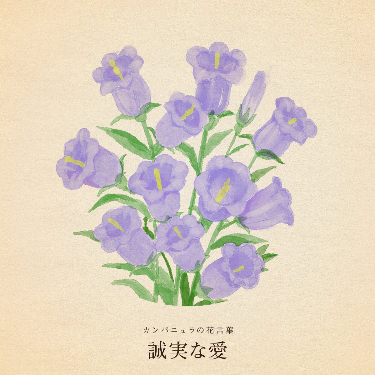 はな言葉 新刊出ました Twitterissa きょう4月23日は 国際マルコーニデー 地ビールの日 シジミの日 子ども読書の日 消防車の日 ぐんま花の日 世界図書 著作権デー 世界本の日 誕生花はカンパニュラ 花言葉 誠実な愛 はな言葉 新刊出ました Twitterissa きょう4月23日は 国際マルコーニデー 地ビールの日 シジミの日 子ども読書の日 消防車の日 ぐんま花の日 世界図書 著作権デー 世界本の日 誕生花はカンパニュラ 花言葉 誠実な愛