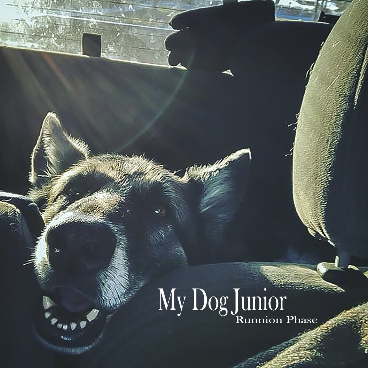MyDogJunior's tweet photo. Runnion Phase by @MyDogJunior Download yours now at
https://t.co/NV5TQYn8Kx
#NewMusic #folkrock #lumbercana
#music #guitar #singersongwriter #Blues https://t.co/5P04ADa23e