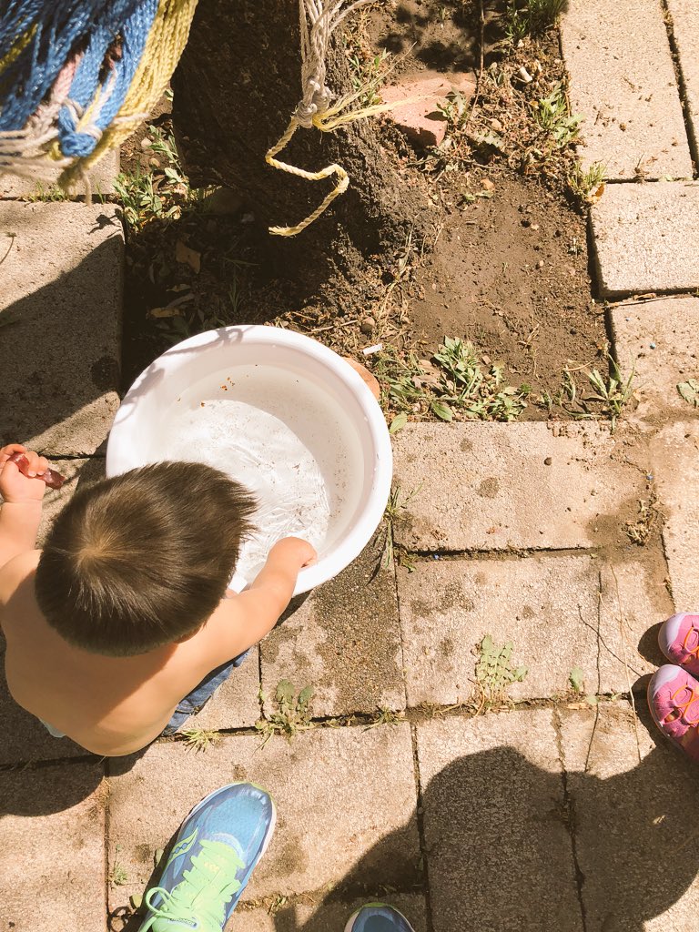 EvelynLou's tweet photo. Collected rain water to water the plants outside ...#LEEarthMonthHunt 🌏🌿☘️🍀🌴🌱🎋🌾🌵 https://t.co/pjMv77e40F