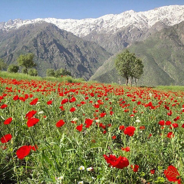 HoroZelis's tweet photo. Natural beauty in Kurdistan

#Kurdistan 
#kurds
#Kurdish https://t.co/kjOHVzVoFJ https://t.co/6nRvjr5qpx