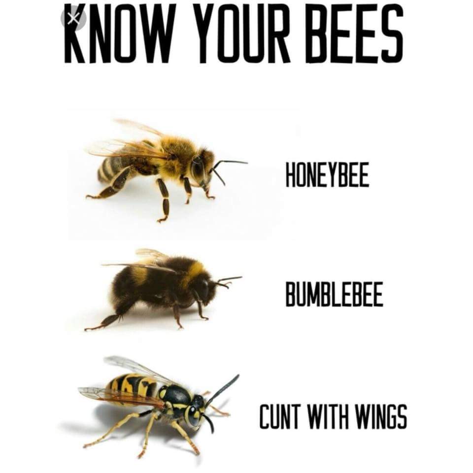 👇👌
