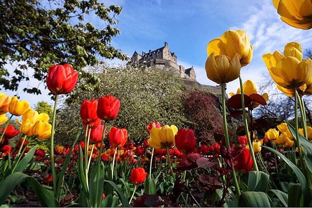 VisitScotland tweet picture