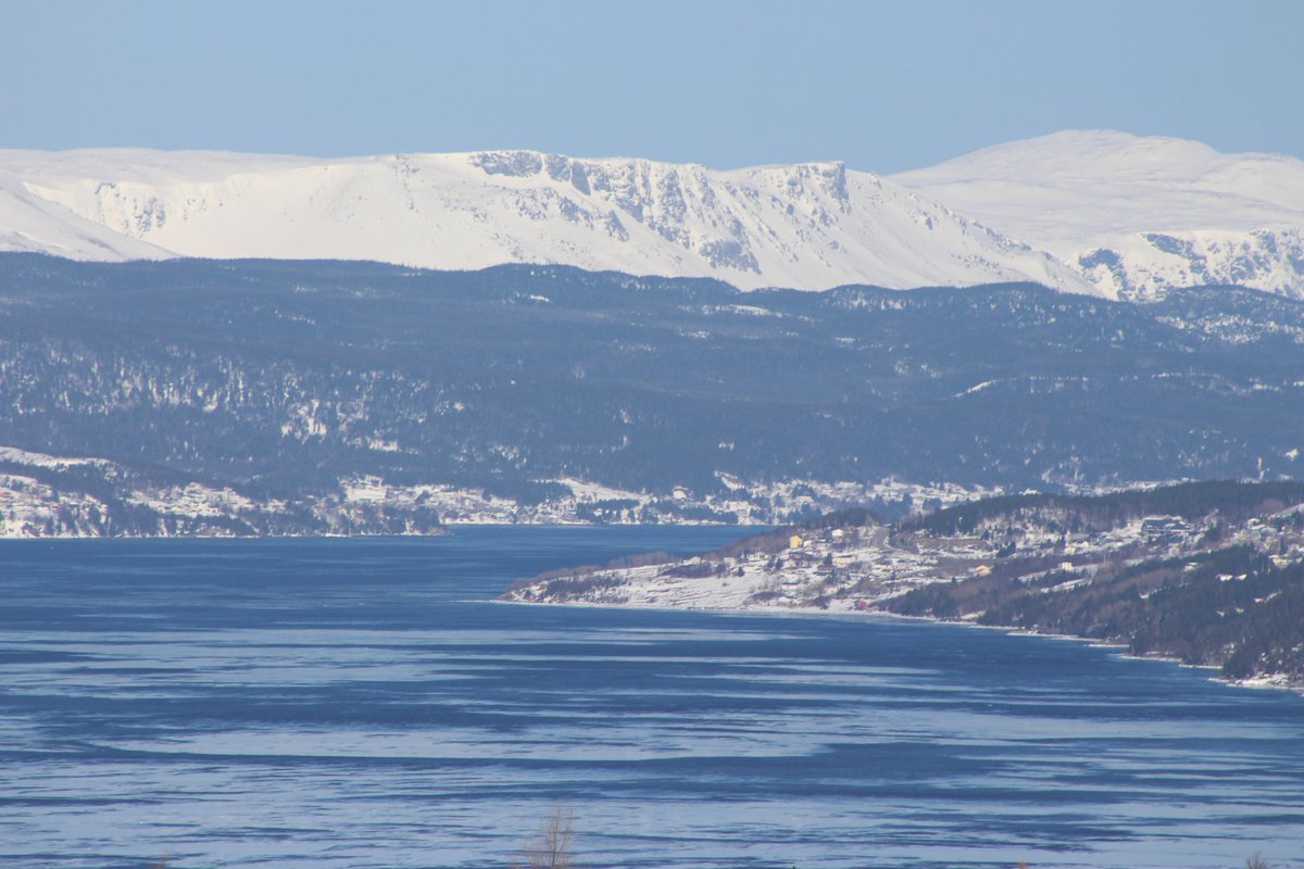 Andrew McCarthy tweet media