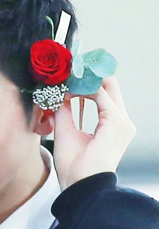 ptgsdetails's tweet photo. #WOOSEOK
⋆ hands
⋆ flower https://t.co/AcV80n1gwm