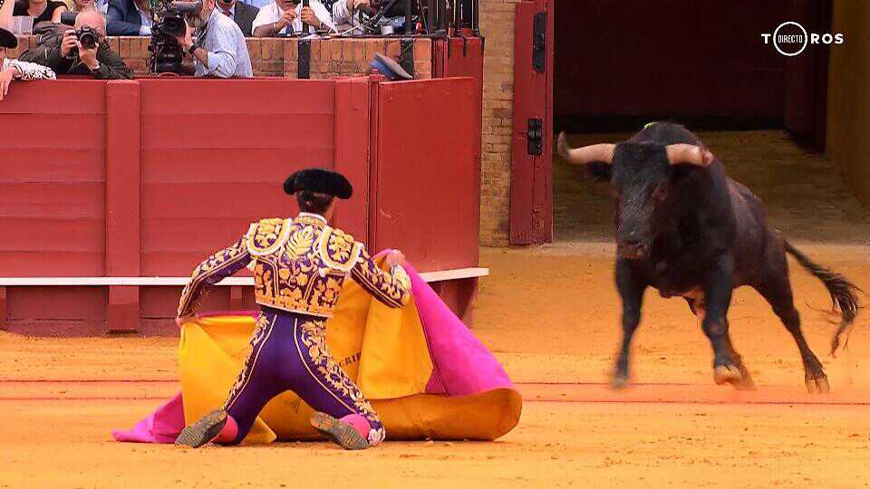 Javier Carabias (@javitaurino) on Twitter photo 