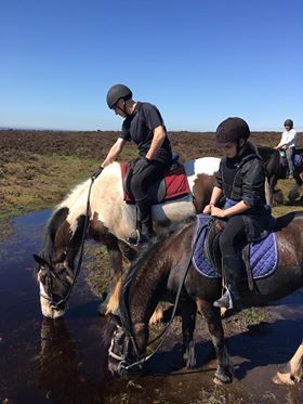 QuantockTrekkin's tweet photo. Blue, blue, electric blue!! Beautiful @Quantockhills @horsemagazine @EquestrianMag @Equitrekking #outdoors #friendship #Wellbeing https://t.co/UCBd9JjNDf