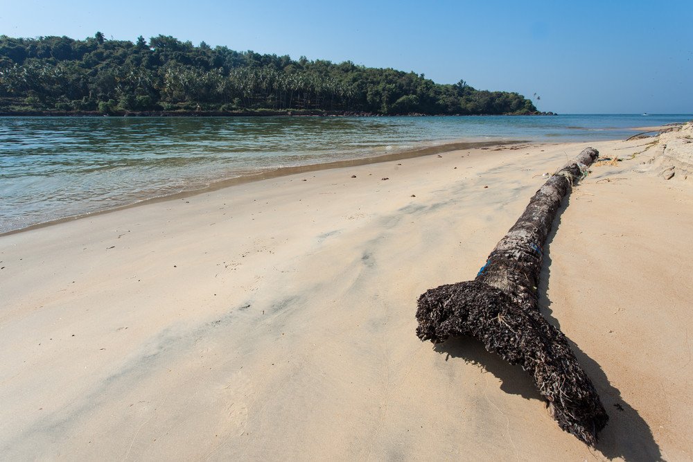 GoaExperience's tweet photo. Want to learn more about what a #holiday in #Goa could look like? Be sure to check out our online #guide, containing everything from a region guide to #weather, #culture, #beaches and more! #goaguide #travelinformation #goaholidays https://t.co/bG85jEaHO4 https://t.co/UWThUP6nn3