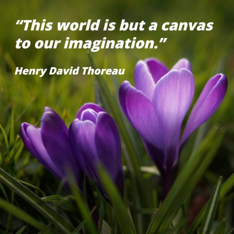 SaltyDogPR's tweet photo. Happy Earth Day! You mean the world to us. https://t.co/gDvKE5DEDm