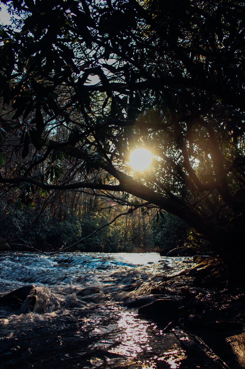 longlivekcx's tweet image. happy #earthday 💛🌻🧚🏼‍♀️🦋