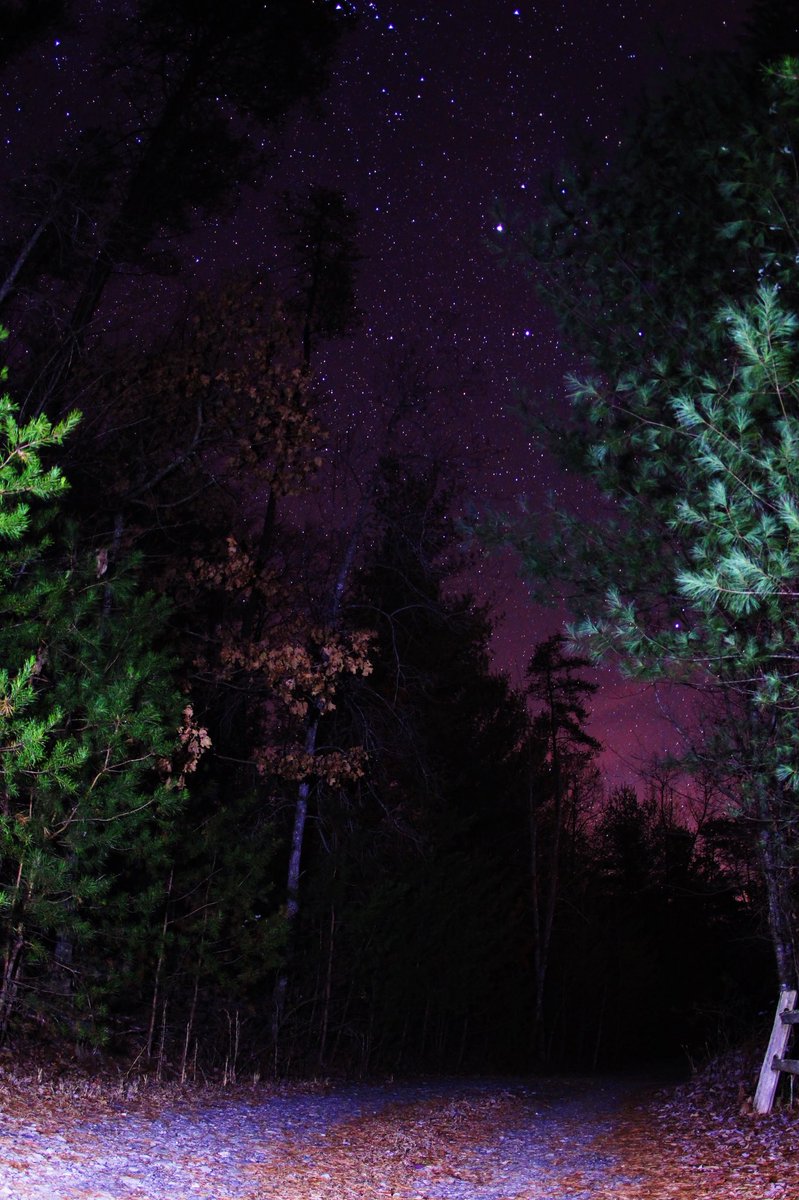 longlivekcx's tweet image. happy #earthday 💛🌻🧚🏼‍♀️🦋