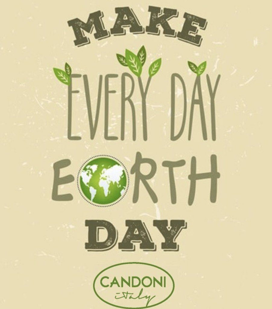 Candoni Wines tweet media