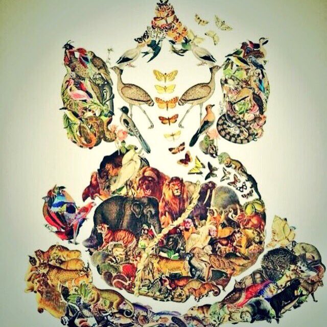LilacAuraFairy's tweet photo. #EarthDay #Gaia #Respect #Gratitude #CompassionForAllBeings #Awareness #ProtectTheHomeOfAll #ClimateChange 🙏🏻🙏🏻🙏🏻 https://t.co/RQN2CskmFp