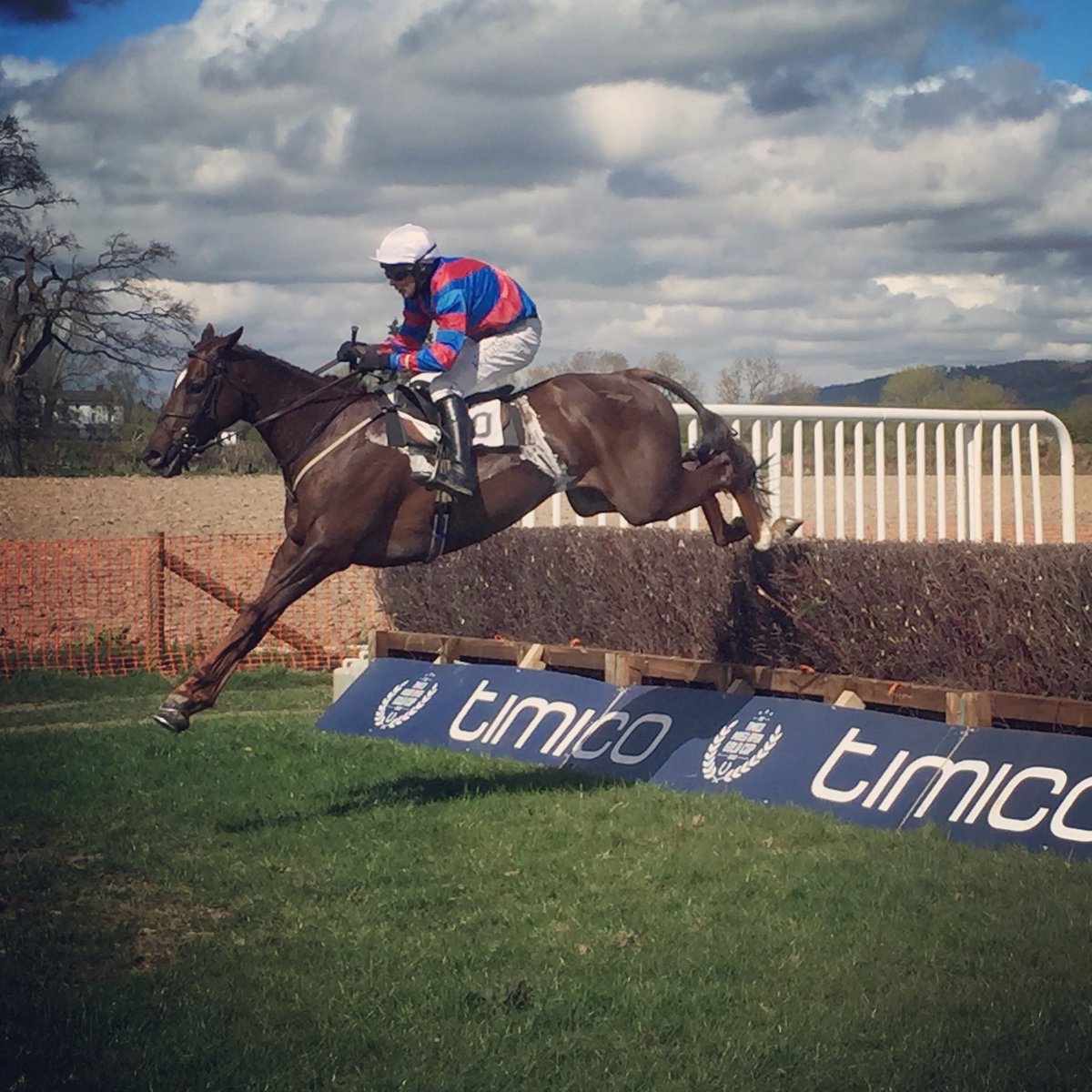 GBpointing tweet media