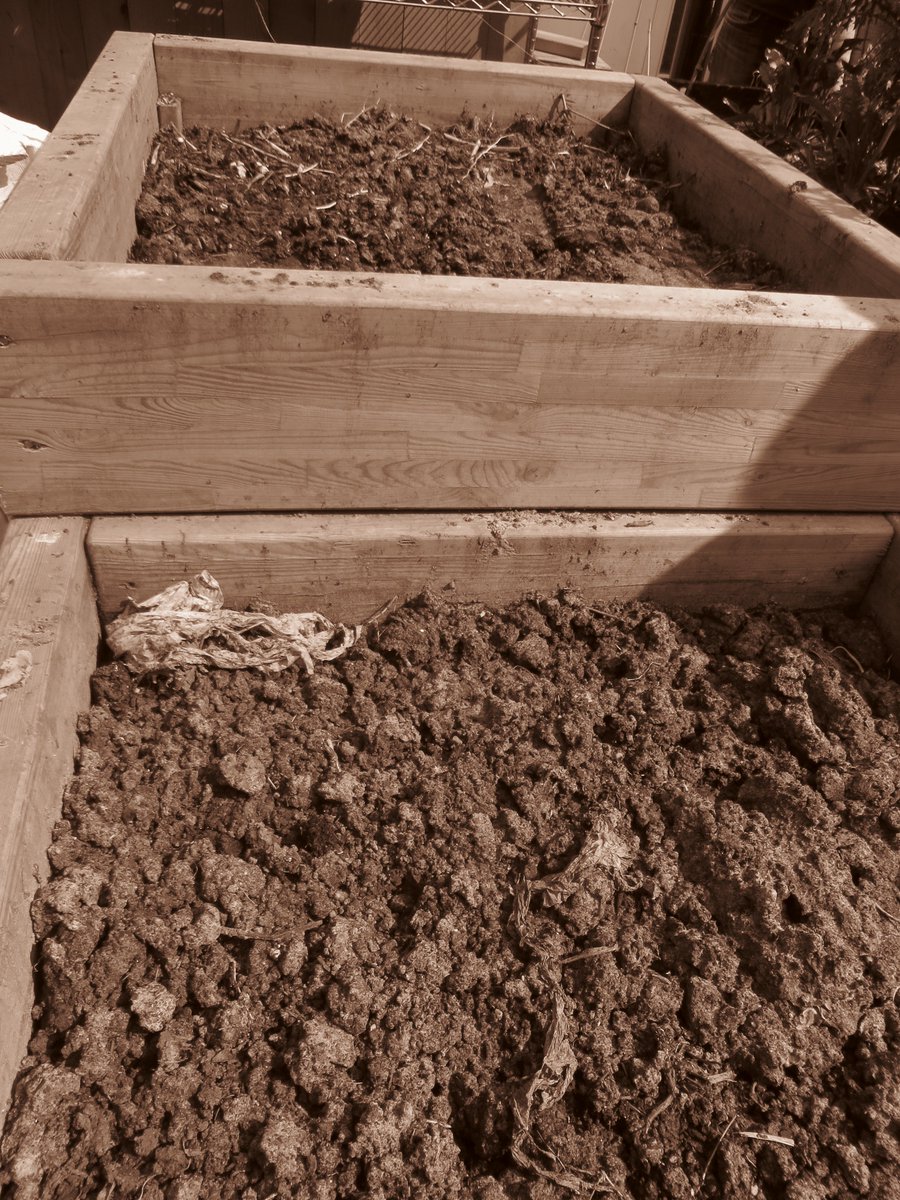 Capital Growth tweet media