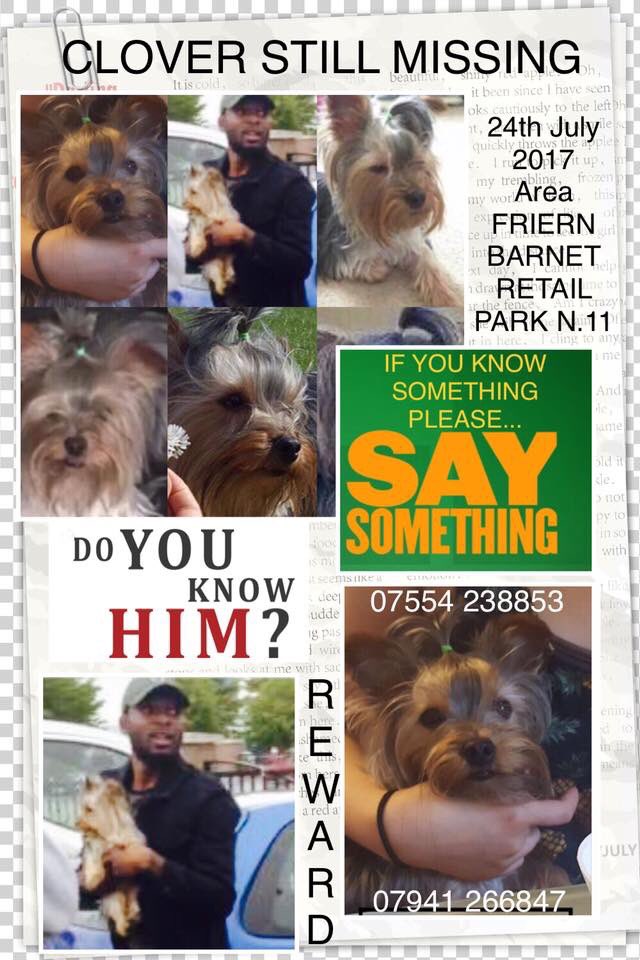 rosiedoc666's tweet photo. CLOVER 💕
we all know the story & if we see this guy WE WILL KNOW WHO HE IS!!! So why has no one come forward 🤔
24/7/17 WHERE U WITH THIS BLOKE? Make a quick call to👮 pls #friern #BarnetRetailPark #N11 🆘🆘🆘 https://t.co/2sLwGU4tWT