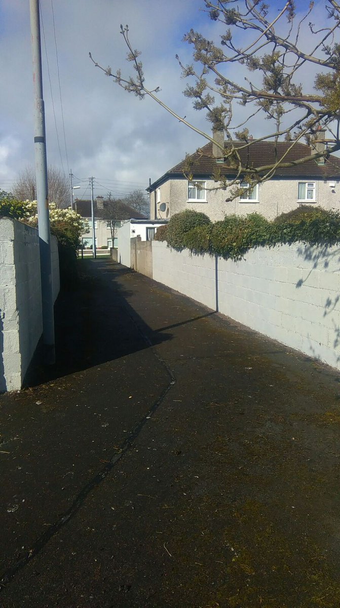 ResidentBDRA's tweet photo. 2 pictures before and after of a transformed laneway between no 49 &amp; 51 Ballyroan Rd by Colaiste Eanna Students,BDRA and Volunteers on Thursday and Friday.Great effort,well done! https://t.co/U17oMyE8rc