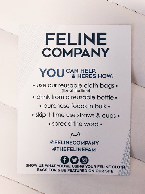 FELINECO's tweet photo. We should treat everyday like it’s #earthday &amp; check out here how we take part in helping the environment: https://t.co/LaX0Hr4R7N #TheFelineFam https://t.co/VYpDpspkyu