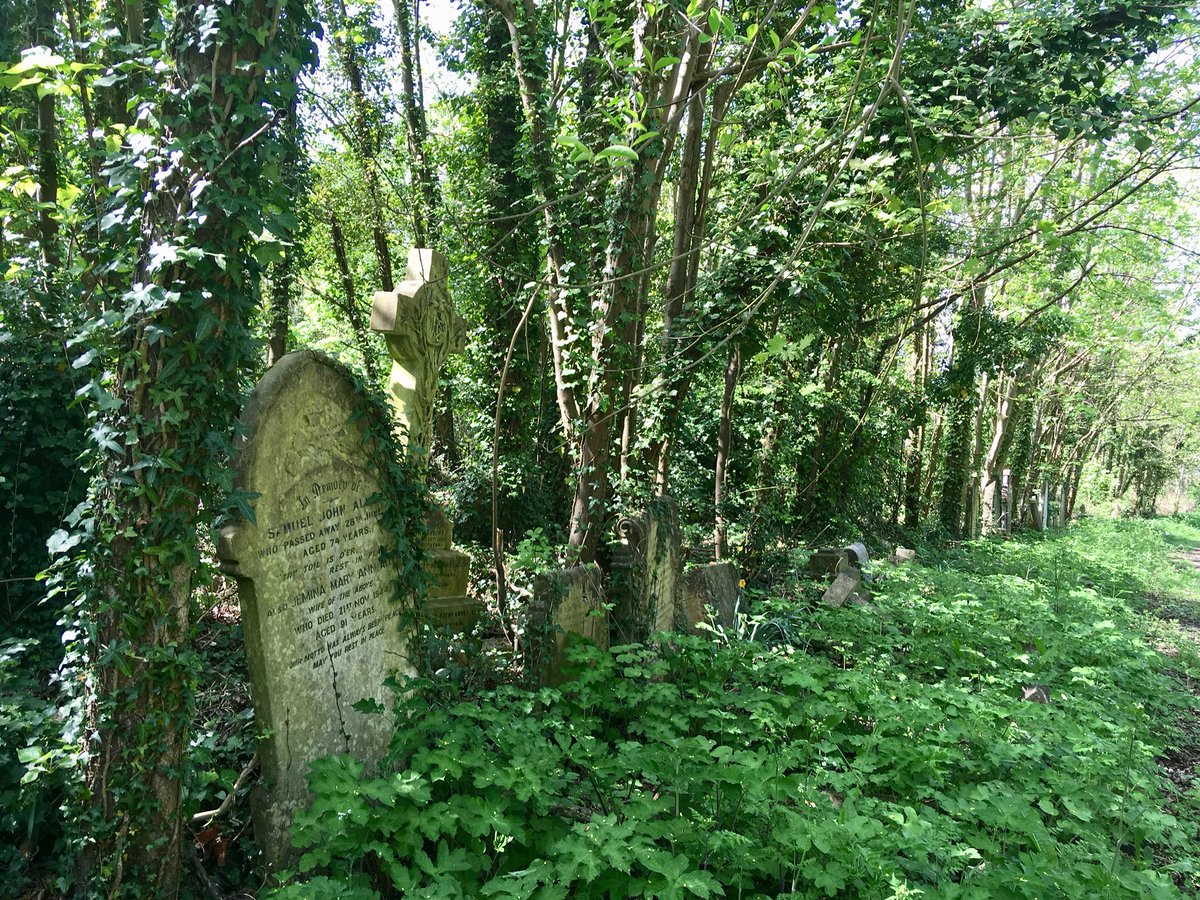 EnergyGardenLDN's tweet photo. It was a glorious day for measuring trees in #camberwelloldcemetery - #southwarkcouncil needs to realise the value of this woodland! #woodland #wildwood #biodiversity #SaveSheffTree @SouthwarkWoods #nomorefelling #EarthDay #HappyEarthDay #LondonGardens https://t.co/a3gSC0Jw8F