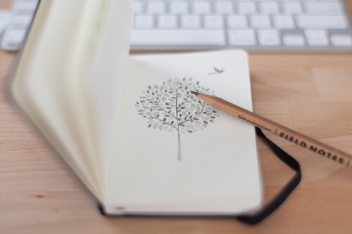 .
.
.
.
.
.

واللــه مالي بالغرور اي #صــلهہ بــس
الثقــل في بعض الآحيــان وآجب..💭🌸

 #قروب_فيض_المشاعر