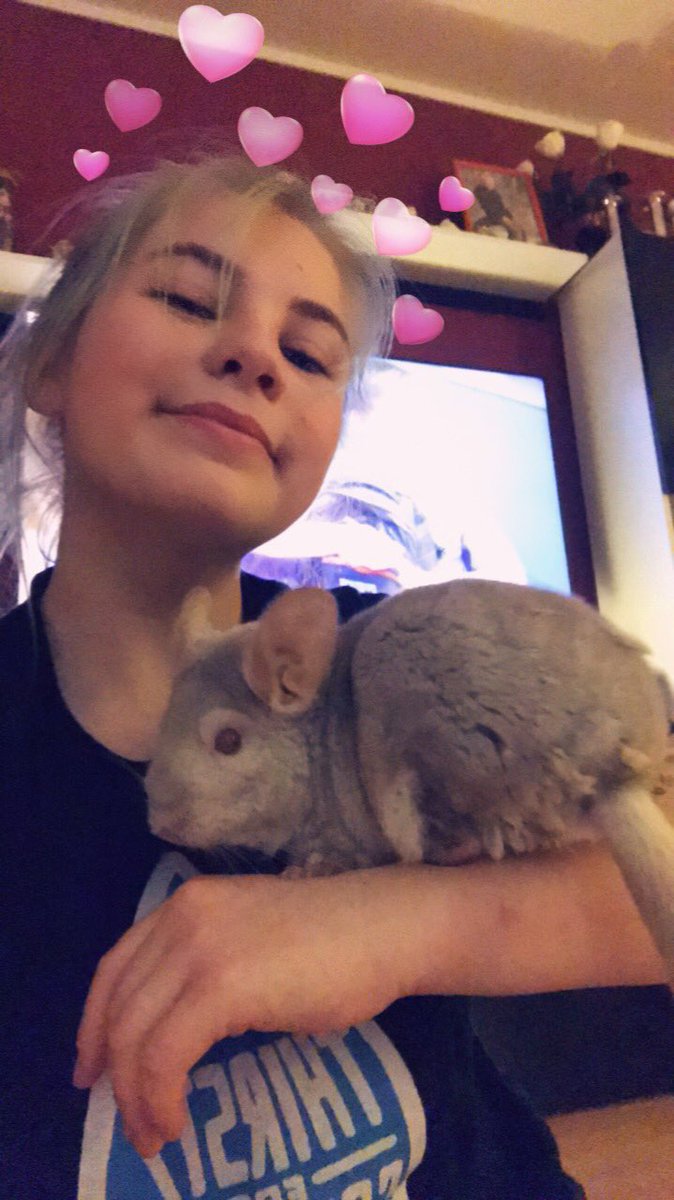 aleight_'s tweet photo. embr[ace]ing all the animals #selfiesforqueers https://t.co/4lh88cQd8g