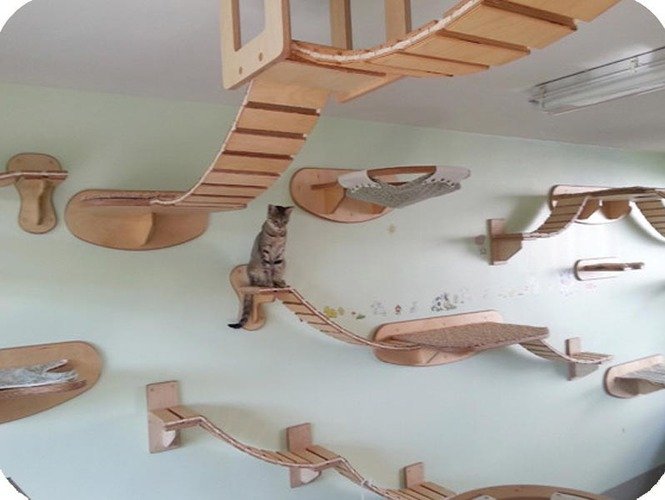 /Dad built her a catwalk./

/Guess where she's going to be today./

#BestDadEver