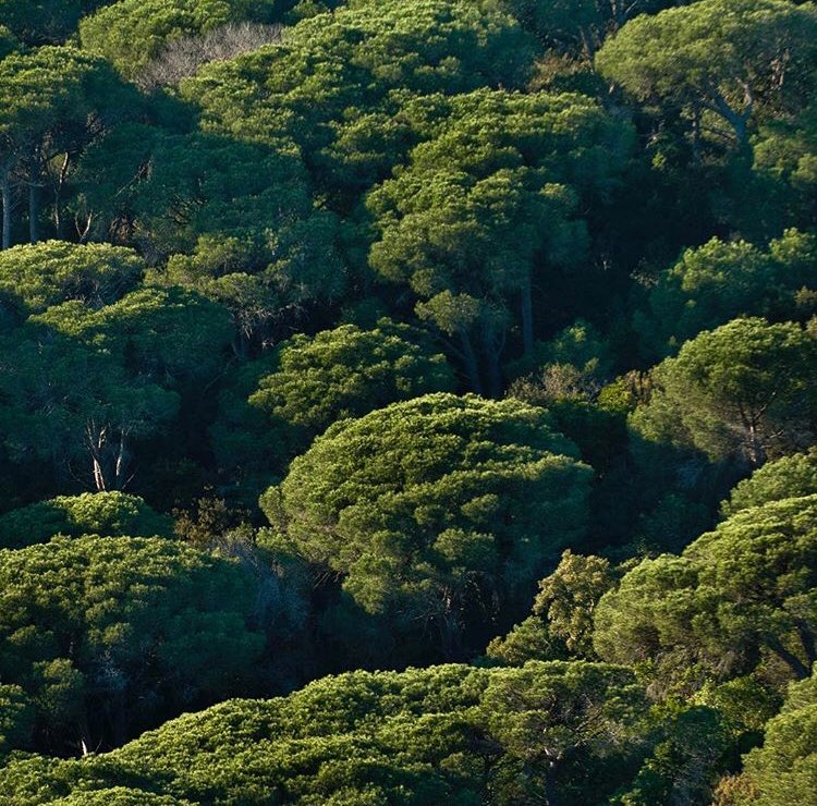 « Nous n'héritons pas de la terre de nos parents, nous l'empruntons à nos enfants. » Antoine de Saint-Exupéry #JournéeDeLaTerre 🌍