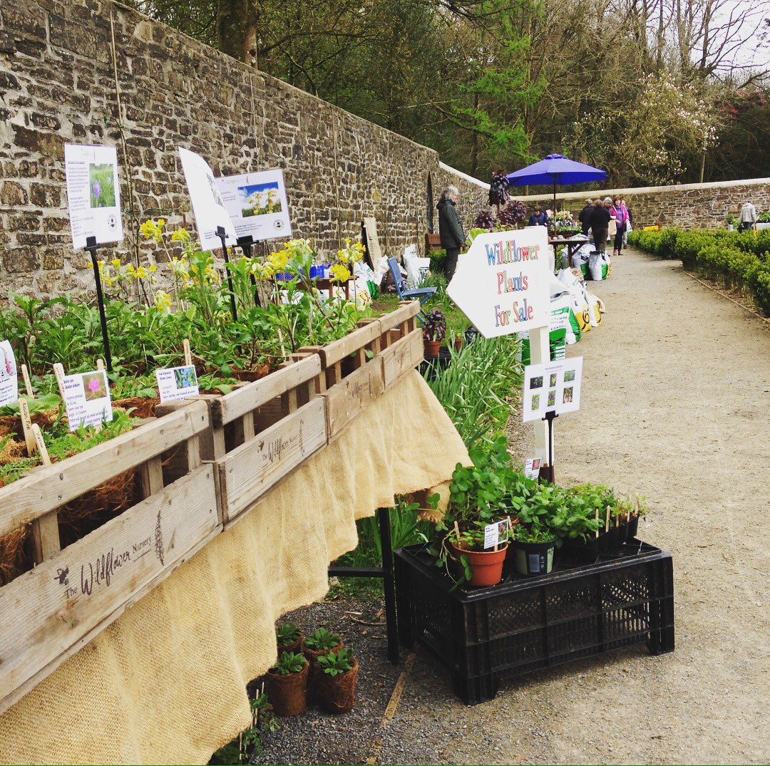 WildflowerNurs's tweet photo. Lovely day out at Scolton Manor Walled Garden plant fair today. Great response to the biodegradable coir pots.
#plasticfree #biodegradablepots #wildflowers #plantfair #plantsforpollinators #scoltonmanor https://t.co/dF6LdAFSnE