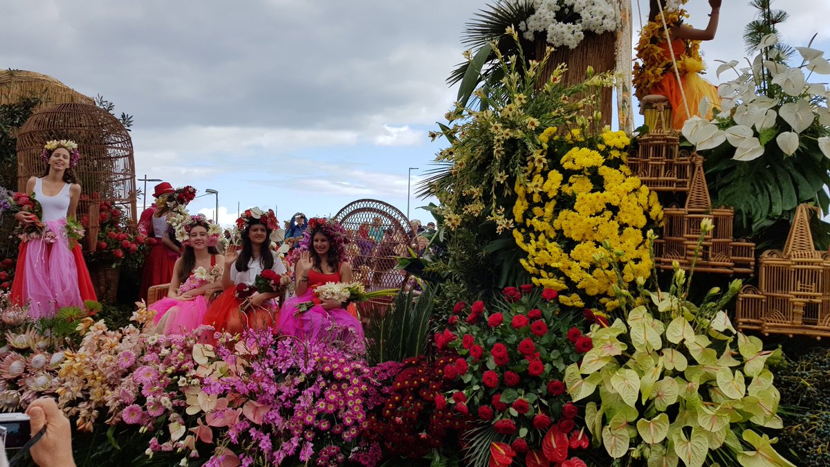 TheoDirkx's tweet photo. Vanmiddag Festa da Flor bezocht in Funchal op Madeira. Mooie optocht met ongeveer 1500 deelnemers en heel veel toeschouwers. Een kleurrijke en fleurige stoet met veel Nederlandse bloemen. https://t.co/1VjYi2uex8