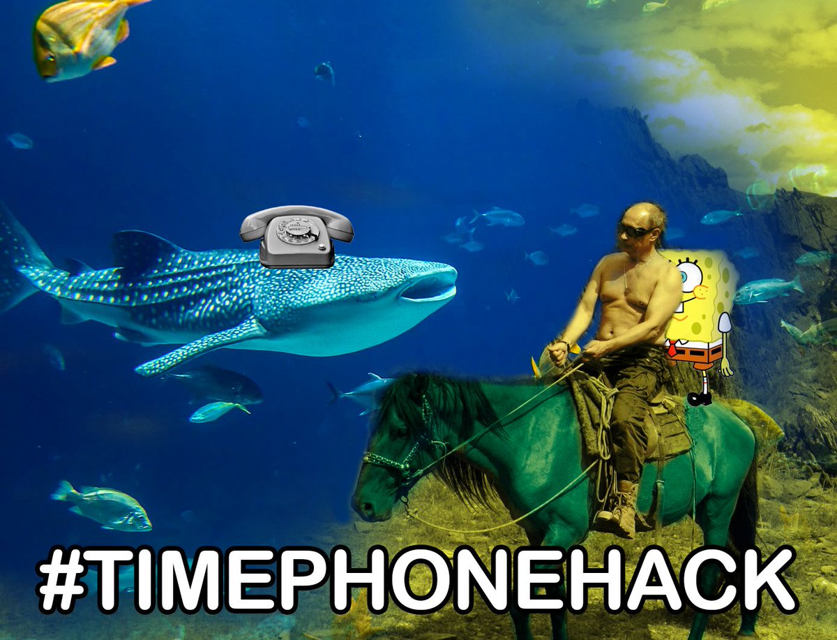 SecurityDEVA's tweet photo. Vladamir Putin on a pony with Sponge Bob SquarePants looking for the mysterious timephone on the back of a tiger shark. #TimePhoneHack #Tyler #TeamTyler https://t.co/FlP73qvolk