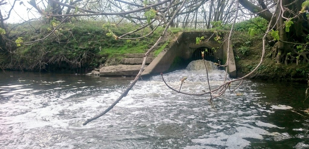 ProfJGrey's tweet photo. Lowlights:
Fridge over troubled water (1of5)
Washing machines x7
Dead ewes 6 &amp; lambs 5 (+ horse in a tree, dead)
Marley tip + outfall sanitary waste
#plasticpollution 
@gianthogweeduk #INNS 
Illegal fishing https://t.co/hIxrsa3wxU