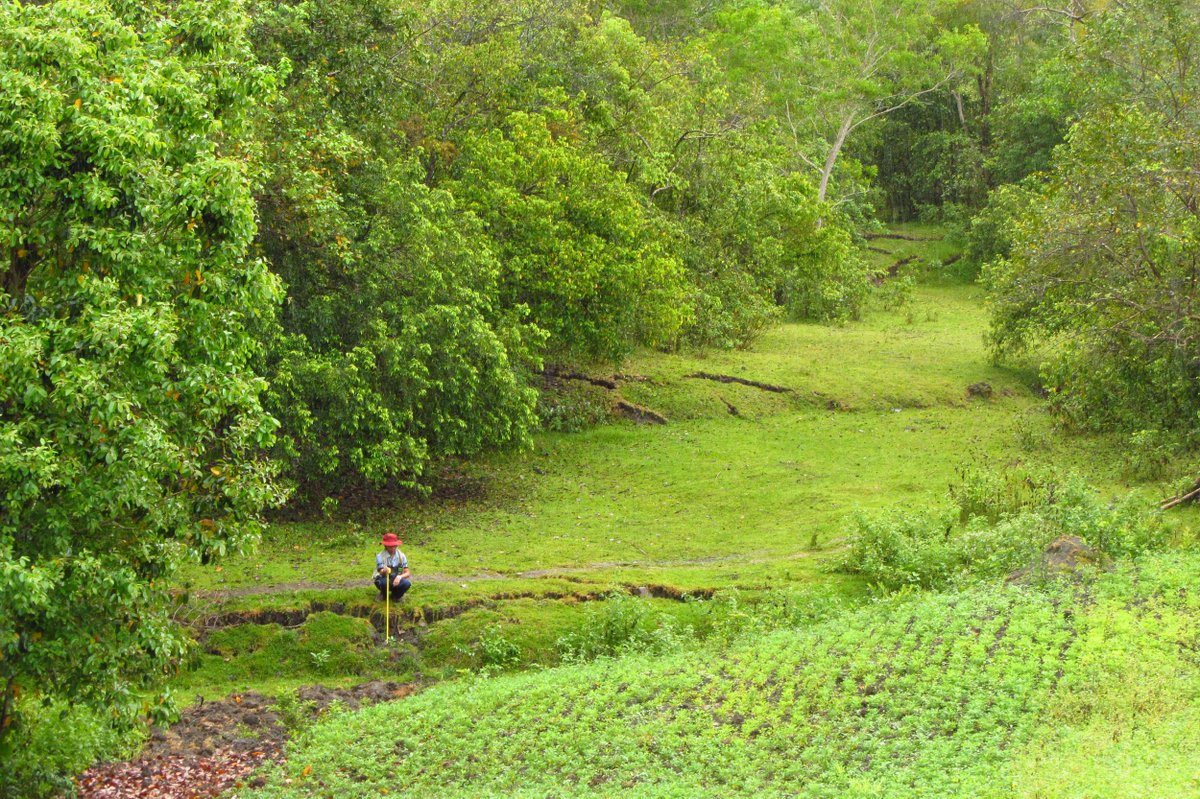 JD Dianala tweet media